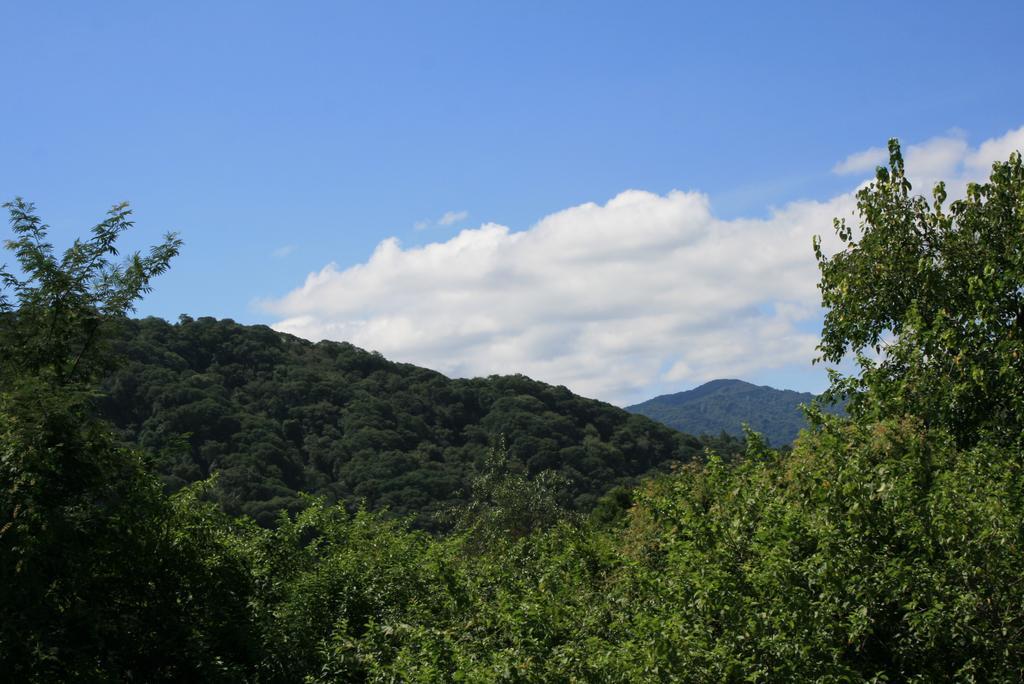 Onda Verde Hostel ซานซัลวาดอร์ เด โฆคุย ภายนอก รูปภาพ